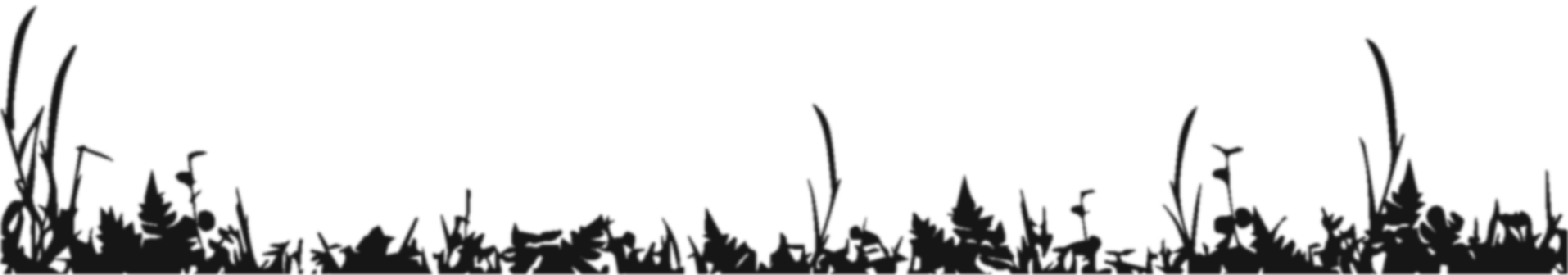 Politon Arena Foreground